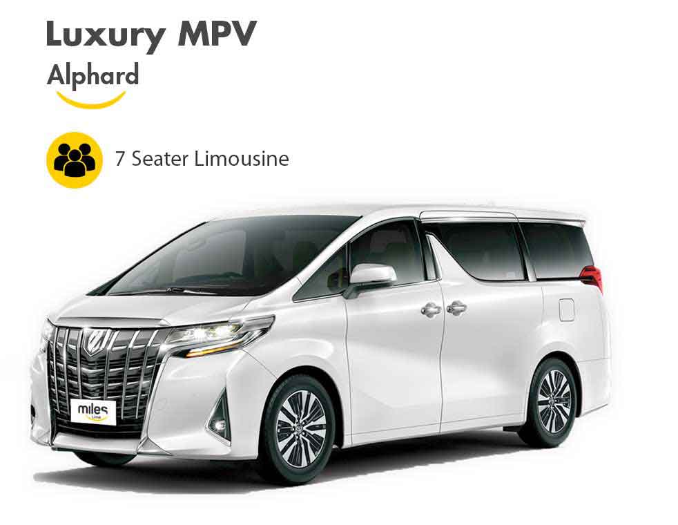 White Aplhard Luxury MPV Limousine